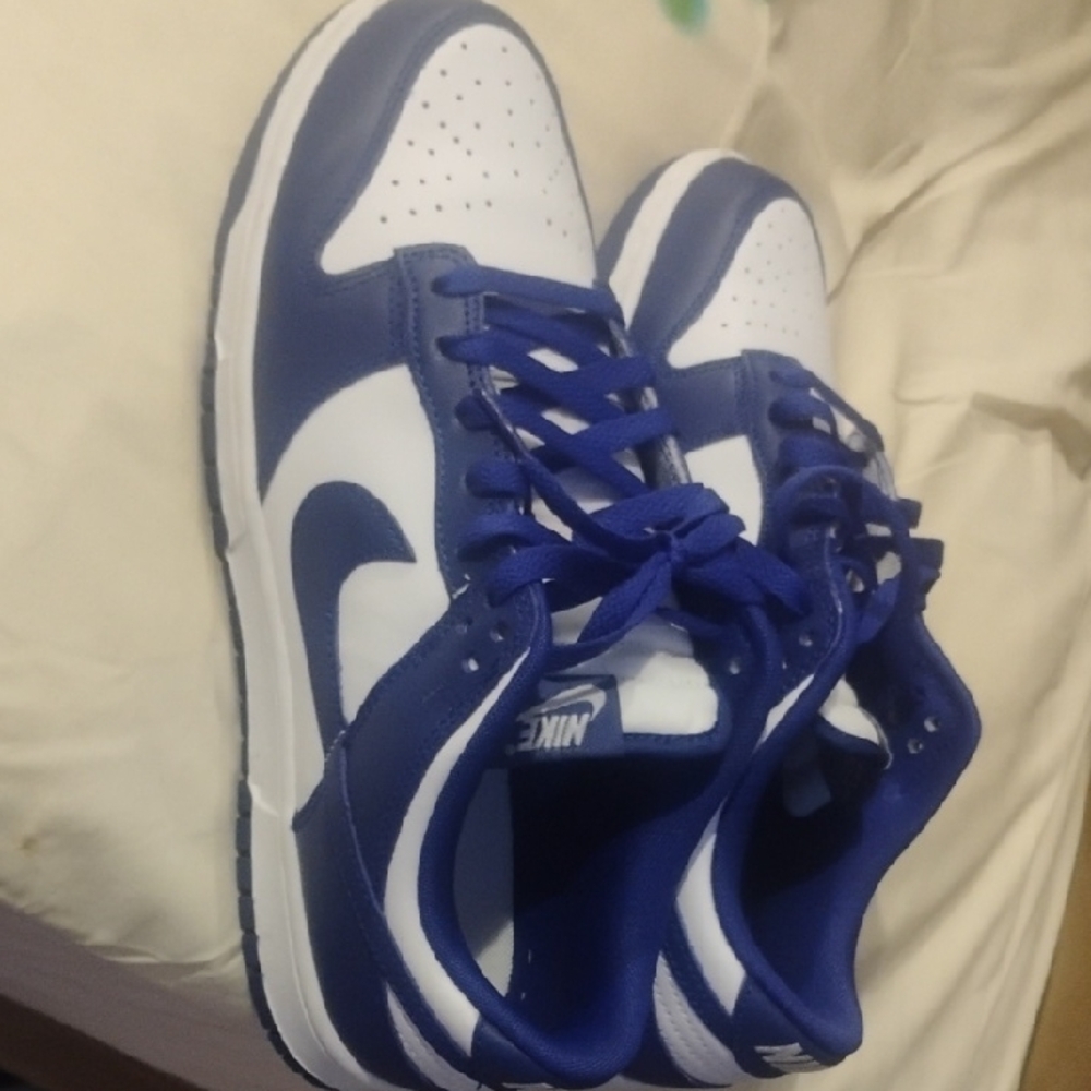 Nike Royal Blue and White Athletic Shoes